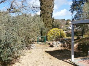 Maisons d'hotes La Maison des Oliviers : photos des chambres
