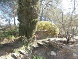 Maisons d'hotes La Maison des Oliviers : photos des chambres