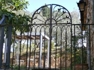 Maisons d'hotes La Maison des Oliviers : photos des chambres