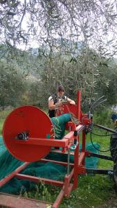 Agriturismo Casa Mattei