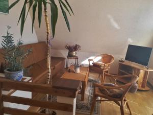 Pokoje gościnne "Oleńka"