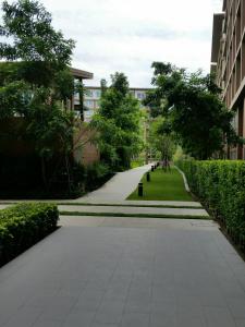 Baan Thew Lom by Meaw