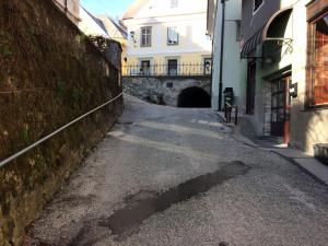 Old town Wall Radovljica - Appartment