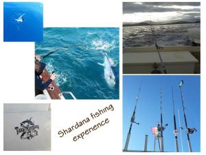 Shardana Blu - Net Zero Home Holiday img70