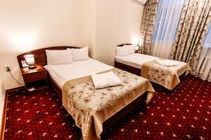 Standard Twin Room room in Amur Hotel