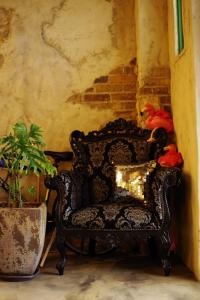 cinnamon guest house dogo hostel