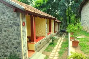 The Last Shola - Dharmapuri