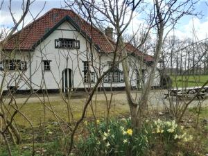 Hoogveld