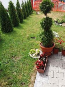 LuFi Penthouse Apartment