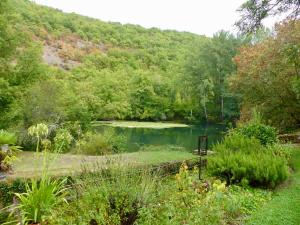 B&B / Chambres d'hotes Moulin de Latreille : photos des chambres