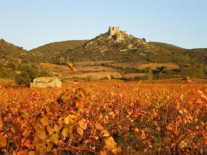 B&B / Chambres d'hotes Gite Saint Roch : photos des chambres