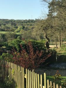 Maisons de vacances Le Noyer : photos des chambres