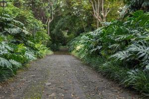 Tierra Blanca, Heredia, Santa Bárbara, 3009, Costa Rica.