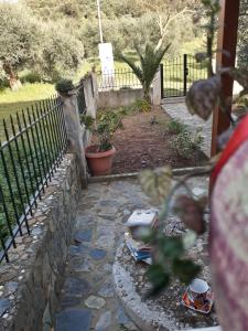 Hidden House in Nature