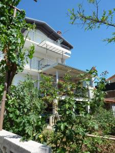 Apartments Duje