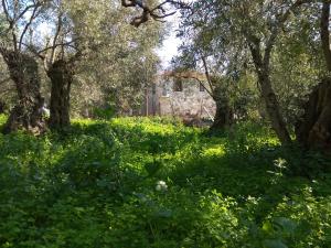 Pelion Zervochia Pelion Greece