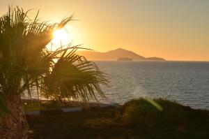 Costa Angela Seaside Resort Kos Greece