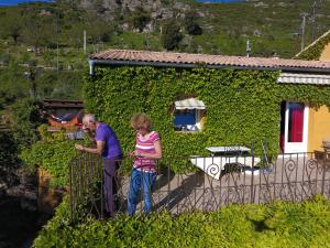 Maisons d'hotes A Pianella : photos des chambres