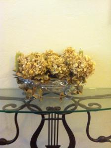 Luisa in Palazzo Bianchi