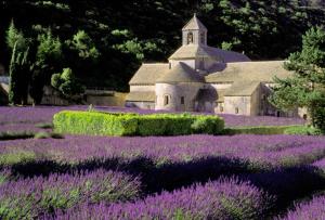 Maisons de vacances Au bastidon de Gordes : photos des chambres