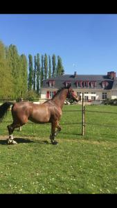 Maisons d'hotes Le domaine de barbizon : photos des chambres