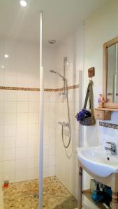 Le Logis de la Poupeliere photo 15