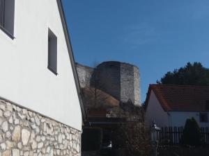 Vakantiehuis Chata Hus Rabí Tsjechië