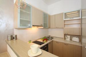 New Belgrade Apartment IN