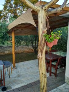 Apartment Soline 