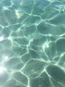 Sa Domu e Muru img39