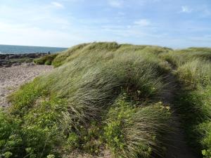 Maisons de vacances Countryside Cottage near the Sea in Cosqueville : photos des chambres