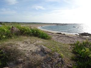 Maisons de vacances Countryside Cottage near the Sea in Cosqueville : photos des chambres