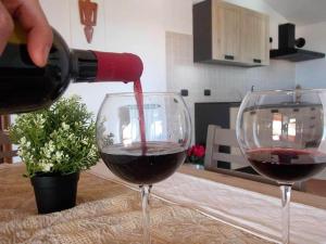 Shardana Blu - Net Zero Home Holiday img12