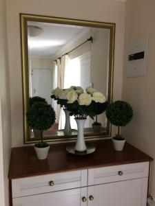 Camelot in Constantia