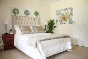 Camelot in Constantia
