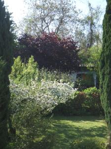 Maisons d'hotes La Rose Tremiere : photos des chambres