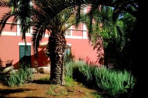B&B Ippocastano