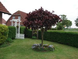 Haus Pilsumer Deichblick