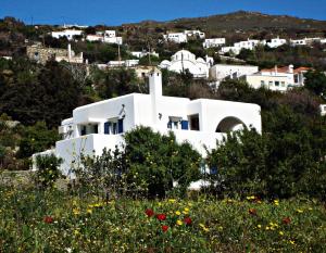 Green view village Andros Greece