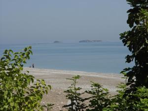 Hotel Yavuz Bungalow