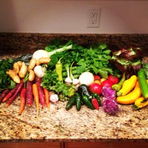 Fishhook Sunrise B&B