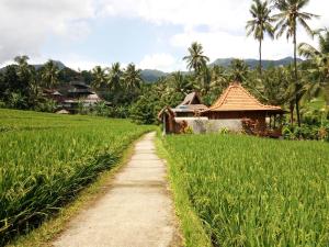 Uma Nirmala Aling-Aling