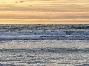 Stella le Touquet Berck T2 - 朗迪夫利耶