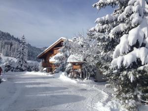 Hotels Hotel Chalet Alpage : photos des chambres