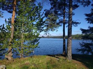 Comfortable Cottage at Scenic Lake