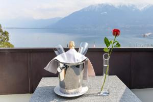 3 hvězdičkový hotel Hotel Millennium Locarno Švýcarsko