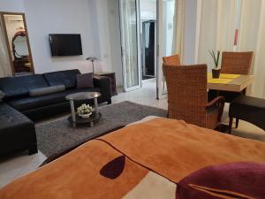 Apartments Maestro