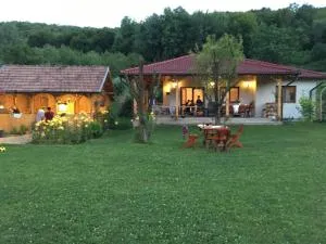 Căsuța de sub pădure - Fîntînele