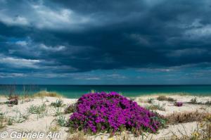 Villetta Valeria img23