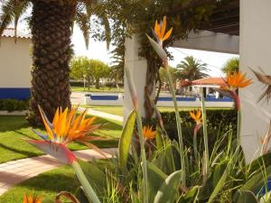 Parque Campismo Porto Côvo